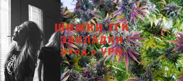 винт Майский