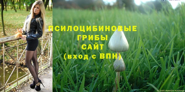 марки nbome Магадан