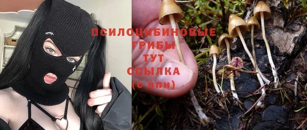 винт Майский