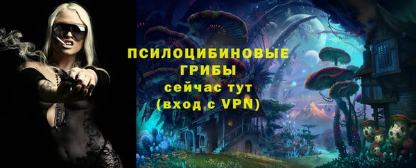 винт Майский